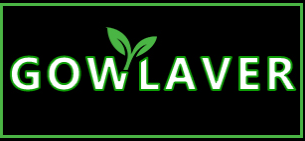 GOWLAVER – Skincare & Gift Sets